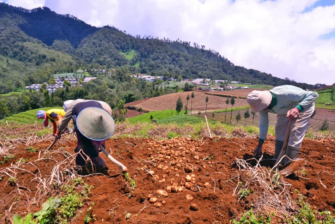 DPRD Akselerasi Ranperda LP2B, Insentif untuk Petani, Sanksi Tegas Alih Fungsi Lahan