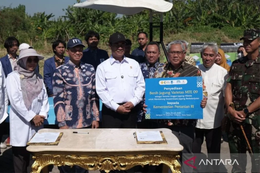 Mentan Borong Benih Jagung ITS Rp10 Miliar, Siap Dibagikan Gratis ke Petani