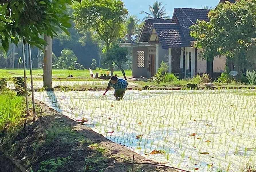 Motor Listrik Petani Harus Sesuai Kondisi Daerah