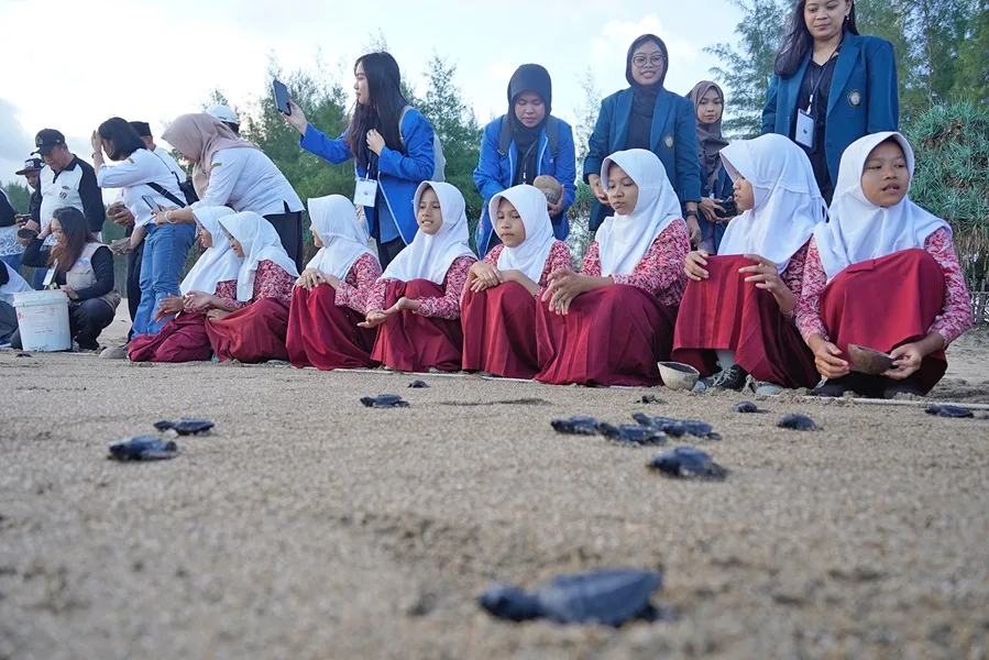 BSTC Ajari Anak Sekolah dalam Penyelamatan Penyu